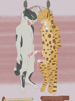 4_toes 5_fingers animal_genitalia animal_penis asphyxiation balls barefoot bdsm black_body black_fur black_stripes blue_eyes blue_sclera bodily_fluids bondage bound brown_spots brown_stripes cum cum_drip cum_in_mouth cum_inside cum_on_body cum_on_leg cum_on_penis cum_on_tongue death digitigrade dripping duo erection eyebrows feet feline_genitalia feline_penis fingers fur fuzzy genital_fluids genitals hands_behind_back hanged inner_ear_fluff male male/male markings multicolored_body multicolored_fur noose nude open_mouth orange_nose orgasm pawpads penis pink_ears pink_pawpads pink_penis restraints rope rope_bondage sheath simple_background spots spotted_body spotted_fur stripes tail teeth toes tongue tongue_out tuft whiskers white_body white_eyebrows white_fur yellow_body yellow_eyes yellow_fur yellow_sclera chuchochi domestic_cat felid feline felis mammal absurd_res hi_res