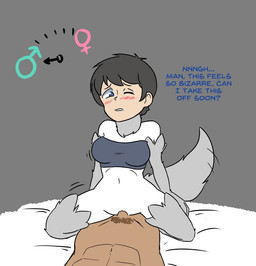 abs anthro bed blue_eyes blush bottomless breasts clothed clothing costume cowgirl_position dialogue duo faceless_character faceless_male female female_on_top female_penetrated from_front_position fur furniture fursuit gender_transformation genitals grey_background grey_body grey_fur grey_hair hair human_on_anthro interspecies kneeling light_body light_skin lying male male/female male_on_bottom male_penetrating male_penetrating_female meter navel nude on_back on_bed on_bottom on_top penetration penile penile_penetration penis penis_in_vagina pubes sex simple_background species_transformation suit_transformation tail tail_motion tailwag tan_body tan_skin text topwear transformation tube_top vaginal vaginal_penetration vulva white_body white_fur megazone23 animate_inanimate canid canine canis human living_clothing living_costume mammal wolf 2019 english_text