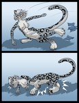 4_legs anthro_to_taur areola black_border black_markings black_pawpads border clenched_teeth clothing countershade_face countershade_fur countershade_neck countershade_tail countershade_torso countershading falling_over female female_taur fur gradient_background grey_body grey_fur hair human_to_taur leg_markings leopard_spots lying markings nipples nude nude_female nude_taur on_ground on_side one_eye_closed open_mouth pawpads quadruped simple_background socks_(marking) solo spots tail taur_transformation teeth torn_clothing transformation white_body white_countershading white_hair yellow_eyes oter shawn_(oter) felid mammal pantherine snow_leopard taur 2012 colored comic shaded