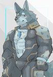 abs anthro biceps blue_eyes bodysuit bulge clothing crystal fur grey_body grey_fur male muscular muscular_anthro muscular_male pecs skinsuit solo tight_clothing kannepaz lifewonders tokyo_afterschool_summoners breke_(tas) canid canine canis mammal wolf hi_res