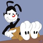 feet foot_focus male pawpads paws soles solo sorcererlance animaniacs warner_brothers yakko_warner inkblot mammal 1:1 hi_res