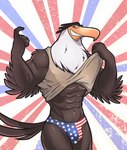 4th_of_july abs absurd_res accipitrid accipitriform american_flag angry_birds anthro athletic avian bald_eagle beak beckoning big_muscles bird blush brown_body brown_fur bulge clothed clothing clothing_lift dasoka detailed_bulge digital_media_(artwork) eagle elbow_feathers eyebrows feathered_wings feathers fur gesture glistening glistening_body glistening_skin hair hi_res holidays larger_male looking_at_viewer male mammal mighty_eagle musclegut muscular muscular_anthro muscular_arms muscular_male muscular_thighs narrowed_eyes orange_beak presenting presenting_body presenting_bulge raised_clothing raised_eyebrow raised_shirt raised_topwear rovio_entertainment sea_eagle sega shirt shirt_lift simple_background size_difference smile smirk solo tail tail_feathers text thick_thighs thong tokuya topwear underwear united_states_of_america white_body white_fur wide_hips wings