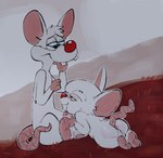 anthro ball_fondling balls bed bite duo finger_bite finger_in_mouth fondling furniture genitals looking_pleasured male male/male on_bed pawfunk pinky_and_the_brain warner_brothers pinky_(warner_brothers) the_brain mammal mouse murid murine rodent absurd_res hi_res