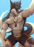 2016 5_fingers abs absurd_res anthro armor belt biceps big_muscles biped black_body black_clothing black_fur blue_background blue_eyes bottomwear bulge claws clothed clothing digital_media_(artwork) discordnight fingers fur hi_res jewelry kneeling looking_at_viewer low-angle_view male mammal muscular muscular_anthro muscular_male necklace outside pants pecs rabbity sergal shorts simple_background sitting smile solo tail toe_claws topless white_body white_fur worm's-eye_view