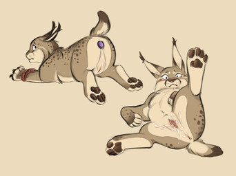after_sex anal anal_penetration anus ass_up bdsm blush bodily_fluids bondage bound brown_body brown_fur butt buttplug buttplug_in_ass buttplug_insertion clitoris cum cum_in_vagina cum_inside female feral fur genital_fluids genitals looking_at_viewer looking_back lying object_in_ass pawpads paws penetration plug_(sex_toy) plug_insertion presenting presenting_anus presenting_hindquarters presenting_vulva raised_leg raised_tail rope sex_toy sex_toy_in_ass sex_toy_insertion solo spread_legs spreading submissive submissive_female tail vulva worried nyxapnea felid feline lynx mammal hi_res multiple_images