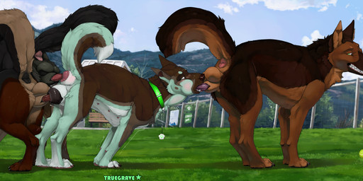 all_three_filled anal anal_knotting anal_penetration anal_tugging animal_genitalia animal_penis animal_vulva anus ass_to_ass balls black_sheath_slit butt canine_genitalia canine_penis canine_vulva claws countershade_torso countershading double_knotting double_penetration erection feet fellatio female female_penetrated feral feral_on_feral feral_penetrated feral_penetrating feral_penetrating_feral foursome fur genitals group group_sex intraspecies knot knot_root knotted_penis knotting male male/female male_penetrating male_penetrating_female oral oral_knotting oral_penetration orifice_tugging outside penetration penile penile_penetration penis penis_in_ass penis_in_mouth penis_in_vagina reverse_doggystyle sex sheath sheath_slit smile spitroast standing tail teats teeth toes tongue triple_knotting triple_penetration vaginal vaginal_knotting vaginal_penetration vaginal_tugging vulva truegrave9 sheppermint thomas_(ragnar9th) canid canine canis domestic_dog mammal 2026 absurd_res digital_drawing_(artwork) digital_media_(artwork) hi_res