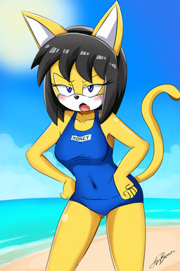 5_fingers anthro beach black_hair black_nose blue_clothing blue_eyes blue_swimwear blush breasts clothed clothing day fangs female fingers fur hair humanoid_hands looking_at_another multicolored_body multicolored_fur navel one-piece_swimsuit open_mouth sand sea seaside solo sun swimwear teeth tongue two_tone_body two_tone_fur water white_body white_fur yellow_body yellow_fur mrthunderigor00 sega sonic_the_fighters sonic_the_hedgehog_(series) honey_the_cat domestic_cat felid feline felis mammal digital_media_(artwork) hi_res signature