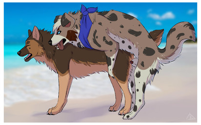ambiguous_gender anatomically_correct anatomically_correct_genitalia animal_genitalia animal_penis aroused beach blue_eyes blue_sky border canine_genitalia canine_penis digitigrade duo erection feral feral_on_feral genitals imminent_sex lipsticking male male/ambiguous penis penis_tip quadruped sand sea sheath sky tongue tongue_out water white_border midzushiro rikuroo australian_shepherd canid canine canis domestic_dog german_shepherd herding_dog mammal pastoral_dog sheepdog
