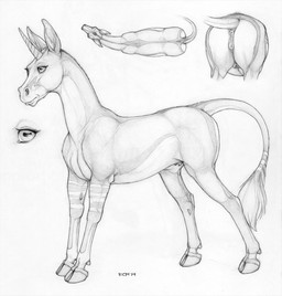 anatomically_correct anatomically_correct_genitalia anatomically_correct_vulva animal_genitalia animal_vulva anus butt cloven_hooves dewclaw_hooves equine_genitalia equine_vulva eyelashes female feral genitals hooves horn mouth_closed quadruped side_view simple_background solo standing tail tail_tuft teats tuft unguligrade vulva ecmajor mythology equustra_(ecmajor) equid equine mammal mythological_creature mythological_equine unicorn 2014 dated graphite_(artwork) greyscale model_sheet monochrome multiple_images traditional_media_(artwork)