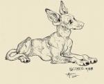 ambiguous_gender claws feral looking_back lying pawpads relaxing simple_background solo white_background aspeneyes inktober canid canine canis domestic_dog mammal pharaoh_hound primitive_dog 2015 black_and_white monochrome sketch