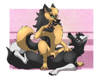 2015 4_toes anatomically_correct anatomically_correct_pussy animal_genitalia canine canine_pussy claws cowgirl digitigrade dog duo female feral fur german_shepherd green_eyes hair husky jager long_hair lying male male/female mammal open_mouth pawpads paws penetration penis psy101 pussy raven_(character) sex smile spread_legs spreading teeth toes tongue vaginal vaginal_penetration wolf
Rating: Explicit
Score: 9
User: Riptastik
Date: February 27, 2015 2015 4_toes anatomically_correct anatomically_correct_pussy animal_genitalia canine canine_pussy claws cowgirl digitigrade dog duo female feral fur german_shepherd green_eyes hair husky jager long_hair lying male male/female mammal open_mouth pawpads paws penetration penis psy101 pussy raven_(character) sex smile spread_legs spreading teeth toes tongue vaginal vaginal_penetration wolf
Rating: Explicit
Score: 9
User: Riptastik
Date: February 27, 2015