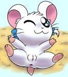 anus blue_eyes bow_ribbon female feral fur genitals lying on_back one_eye_closed presenting presenting_pussy pussy semi-anthro solo spread_legs spreading white_body white_fur wink mincheeto hamtaro_(series) bijou_(hamtaro) cricetid hamster mammal rodent