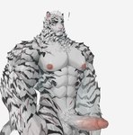 abs anthro balls barazoku erection eyebrows genitals humanoid_genitalia humanoid_penis male muscular muscular_anthro muscular_male nipples pecs penis solo stripes tail vein veiny_penis white_body wetskeleton arknights hypergryph studio_montagne mountain_(arknights) felid mammal pantherine tiger absurd_res hi_res