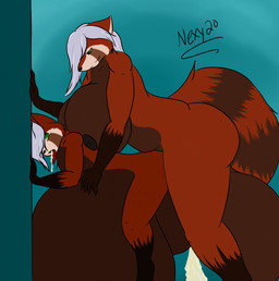 5_fingers anthro anthro_on_anthro anthro_penetrated anthro_penetrating anthro_penetrating_anthro balls big_balls big_breasts black_nipples black_nose bodily_fluids breasts brown_balls cum cum_ballooning cum_from_mouth cum_in_mouth cum_inflation cum_inside cum_through duo fingers fur genital_fluids genitals gloves_(marking) gynomorph gynomorph/male gynomorph_penetrating gynomorph_penetrating_male hair huge_balls huge_breasts hyper hyper_balls hyper_genitalia inflation intersex intersex/male intersex_penetrating intersex_penetrating_male leg_markings male male_penetrated markings multicolored_body multicolored_fur nipples open_mouth penetration red_body red_fur red_tongue sex slightly_chubby slightly_chubby_anthro slightly_chubby_gynomorph slightly_chubby_intersex socks_(marking) tail tongue tongue_out white_hair nexy ailurid mammal red_panda 2020 hi_res brother_(lore) brother_and_sister_(lore) incest_(lore) sibling_(lore) sister_(lore) twincest_(lore) twins_(lore)