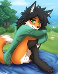 anthro bedding black_body black_fur black_hair blanket blush bottomless clothed clothing cloud feet female female_anthro field flower forest fur genitals grass green_eyes hair hand_on_legs heart_symbol hoodie hugging_legs legs_together looking_at_viewer mountain nails orange_body orange_fur outside partially_clothed paws plant presenting presenting_pussy pussy question_mark rock shrub sitting sky smile solo tail topwear tree white_body white_fur kazrune valkyrie_(kazrune) canid canine fox mammal absurd_res hi_res