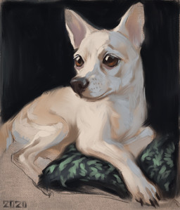 black_background black_claws black_nose brown_eyes claws feral fur lying paws pillow quadruped short_fur simple_background solo white_body white_fur alexpahomov canid canine canis chihuahua domestic_dog mammal toy_dog 2020 absurd_res digital_media_(artwork) digital_painting_(artwork) hi_res painting_(artwork)