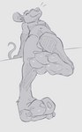 blue_body blue_fur feet foot_focus fur genitals grey_body grey_fur hindpaw male pawpads paws penis toes animancer mousepaw mammal mouse murid murine rodent hi_res sketch