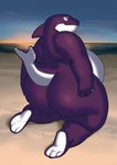 anthro beach belly big_butt butt huge_butt male nude outside overweight overweight_anthro overweight_male purple_body purple_skin seaside sky slightly_chubby slightly_chubby_male solo chubby-shark cetacean dolphin mammal marine oceanic_dolphin orca toothed_whale