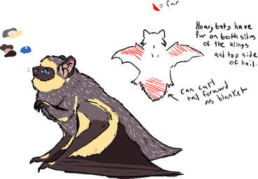 after_transformation ambiguous_gender black_text blue_eyes feral fur markings membrane_(anatomy) membranous_wings solo tail tan_body tan_fur text wings welcometaco failbetter_games fallen_london bat curator_(species) hoary_bat mammal aliasing digital_drawing_(artwork) digital_media_(artwork) english_text handwritten_text model_sheet maleherm_(lore)
