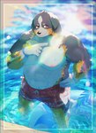 anthro biped black_body black_fur black_nose brown_body brown_fur clothing fur humanoid_hands kemono male outside solo swimwear water white_body white_fur 7gaku_7 bernese_mountain_dog canid canine canis domestic_dog mammal molosser mountain_dog swiss_mountain_dog 2021 hi_res