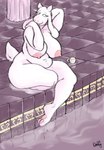 3_toes anthro bath bathhouse bent_leg big_breasts breasts closed_smile detailed_background digitigrade eyes_closed feet female floppy_ears fur hand_behind_head hand_on_shoulder horn inside legs_together long_ears lop_ears mature_anthro mature_female mouth_closed nipples nude nude_anthro nude_female pawpads paws raised_tail scut_tail short_horn short_tail sitting slightly_chubby slightly_chubby_anthro slightly_chubby_female small_horn smile smooth_horn solo tail thick_thighs three-quarter_view toes wet white_body white_fur white_horn mcdoogiy undertale_(series) toriel boss_monster_(undertale) bovid caprine mammal 2023 colored_sketch digital_drawing_(artwork) digital_media_(artwork) full-length_portrait hi_res portrait shaded signature sketch soft_shading