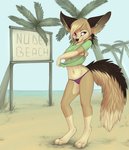 anthro barefoot beach big_ears black_nose blonde_hair clothed clothing day detailed_background feet female fluffy fluffy_tail gloves_(marking) hair leg_markings markings navel nude_beach outside palm_tree panties plant purple_eyes sand sea seaside sign sky socks_(marking) solo standing tail text tree underwear undressing water yshanii osiris_henschel canid canine fennec_fox fox mammal true_fox 2020 digital_media_(artwork) english_text hi_res shaded