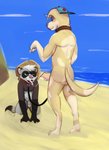 anthro beach clothing collar duo hat headgear headwear leash male male/male seaside sun_hat gulidx_(artist) gulidx_(character) leothemutt canid canine canis domestic_dog domestic_ferret humanoid mammal mustelid musteline true_musteline weasel hi_res