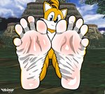 2_tails 5_toes anthro barefoot big_feet blush body_blush feet fluffy fluffy_chest foot_blush foot_fetish foot_focus humanoid_feet looking_at_viewer male multi_tail outside plantigrade soles solo spread_toes tail toes two_tone_feet white_soles wrinkled_feet wrinkles yellow_body elricalde sega sonic_the_hedgehog_(series) miles_prower canid canine fox mammal hi_res