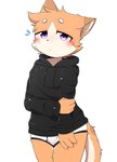 anthro biped black_briefs black_clothing black_hoodie black_nose black_topwear black_underwear blush briefs bulge cheek_tuft clothing dipstick_ears ear_markings facial_tuft fur hair half-closed_eyes hand_on_arm holding_arm hoodie hoodie/briefs_meme looking_at_viewer male multicolored_ears narrowed_eyes orange_body orange_fur orange_hair solo standing tan_body tan_fur topwear tuft two_tone_briefs underwear white_briefs white_clothing white_eyes white_underwear young young_anthro kimacats kima_(kimacats) domestic_cat felid feline felis mammal 2020 hi_res meme