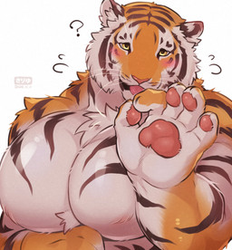 anthro big_muscles big_pecs blush embarrassed fellatio_gesture fur gesture male male_anthro muscular muscular_anthro muscular_male nervous open_mouth orange_body orange_fur pawpads pecs question_mark shirtless shy simple_background solo striped_body striped_fur stripes suggestive suggestive_gesture tongue tongue_out white_background white_body white_fur giraffe_(artist) lam-chan felid mammal pantherine tiger hi_res