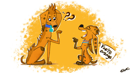 alternate_species black_nose blue_collar brown_body brown_fur brown_spots collar duo female feral floppy_ears fur orange_body orange_fur spots toony cucthecookie 101_dalmatian_street 101_dalmatians disney delilah_(101_dalmatians) dolly_(101_dalmatians) canid canine canis dalmatian domestic_dog hyena mammal 16:9 hi_res widescreen