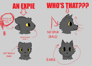 ambiguous_gender anthro black_body black_eyes black_fur black_nose directional_arrow drawing_guide fur grey_background head_spikes information informative looking_at_viewer orange_sclera red_arrow side_view simple_background solo spikes spikes_(anatomy) text the_truth temmmi casualties:_unknown canid canine expie_(gunsawian) fox gunsawian hybrid mammal murid murine rat rodent 2026 digital_drawing_(artwork) digital_media_(artwork) english_text