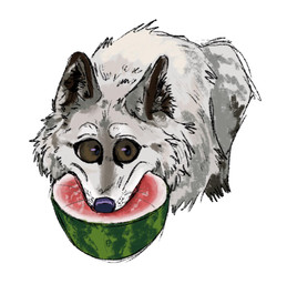 ambiguous_gender brown_eyes feral fluffy food fruit fur grey_body grey_fur holding_food holding_object looking_aside melon mouth_hold noisy_fur plant purple_nose simple_background solo watermelon watermelon_slice white_background unknown_artist canid canine canis mammal wolf digital_media_(artwork) hi_res meme