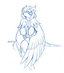 anthro beak breasts eyewear feathered_wings feathers featureless_breasts female glasses hair non-mammal_breasts smile solo tail tail_feathers wings royalty_(artist) nintendo pokemon gabe_(onom) avian bird decidueye generation_7_pokemon pokemon_(species) hi_res sketch