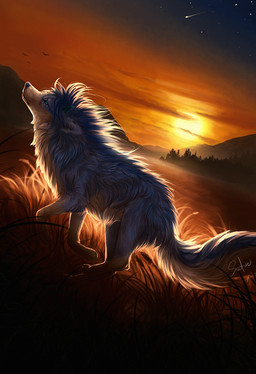 ambiguous_gender blue_body blue_eyes blue_fur blue_hair blue_nose day detailed_background feral fur grass hair paws plant quadruped sky solo standing sun white_body white_fur safiru canid canine canis mammal wolf