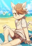 anthro arms_by_side beach beach_towel bent_arm bent_leg clothing extended_leg group hair hair_over_eye half_submerged hand_on_knee hand_on_leg hand_on_own_knee hand_on_own_leg holding_knee holding_leg knee_pulled_up male one_eye_obstructed partially_submerged planted_leg sea seaside sitting solo_focus sparkles standing standing_in_water straight_arm summer swimwear tail thin_tail towel trio water young young_anthro konbu cyberconnect2 fuga:_melodies_of_steel little_tail_bronx boron_brioche hack_montblanc kyle_bavarois abyssinian_cat canid canine caninu canis chartreux domestic_cat domestic_dog felid feline felineko felis herding_dog mammal pastoral_dog welsh_corgi 2021