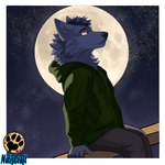 anthro blue_body blue_fur blue_hair bottomwear clothing fur green_clothing green_hoodie green_topwear hair hoodie light looking_up male moon moonlight orange_eyes pants sitting sky solo star topwear wood netiscraft canid canine canis mammal wolf 1:1 hi_res