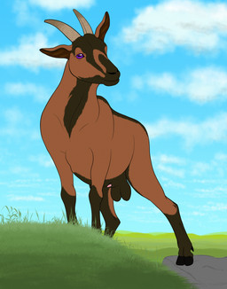 anatomically_correct anatomically_correct_genitalia anatomically_correct_penis animal_genitalia animal_penis balls big_balls cloud cloven_hooves feral genitals grass hooves horn male penis penis_tip plant quadruped rock sky solo twistedewe bovid caprine goat mammal hi_res