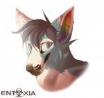 anthro black_hair blue_body blue_eyes blue_fur ear_piercing fur hair industrial_piercing male multicolored_ears piercing rainbow rainbow_ears solo sparklepaws terribleanimal sparklepaws_(character) canid canine canis domestic_dog husky mammal nordic_sled_dog spitz 2015 bust_portrait hi_res portrait