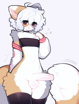 anthro balls black_clothing black_legwear black_thigh_highs blush bottomless clothed clothing erection genitals grey_ears grey_tail hair hoodie legwear male navel red_eyes small_waist solo tail tan_ears tan_tail thick_thighs thigh_highs topwear white_body white_ears white_hair white_tail wide_hips katsucoffee arcanis_(hahaluckyme) domestic_cat felid feline felis mammal hi_res