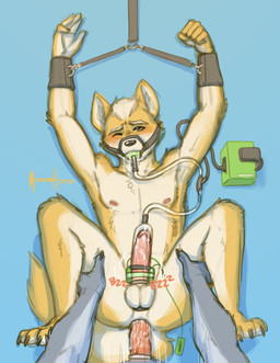5_fingers accessory anal anal_penetration anthro ball_gag balls bdsm blue_background blush bodily_fluids bondage bound cock_ring condom countershading cum cum_circulation cum_in_mouth cum_in_self cum_inside cum_on_face dominant dominant_male drinking drinking_cum drinking_own_cum duo egg_vibrator erection fingers force_feeding forced forced_orgasm fur gag gagged genital_fluids genitals halter harness harness_ball_gag harness_gag humanoid_genitalia humanoid_penis jewelry lying machine male male/male masturbation milking_machine multiple_cock_rings muzzle_(object) muzzled nipples nude on_back orgasm penetration penile penile_masturbation penis penis_accessory penis_jewelry penis_milking penis_pump rape sex sex_toy sexual_barrier_device simple_background solo_focus submissive submissive_male testicle_cuff text toying_self vibrator vibrator_on_penis meesh nintendo star_fox fox_mccloud wolf_o'donnell canid canine canis fox mammal wolf 2013 absurd_res digital_media_(artwork) hi_res signature