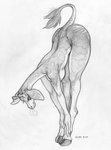 anthro arms_together ass_up bent_over bent_over_with_legs_held_straight big_butt breasts butt cloven_hooves extended_arms female hands_on_ankles hands_on_legs hands_on_own_ankles hands_on_own_legs holding_both_ankles holding_both_legs hooves horn leaning_on_self legs_together long_neck nipples nude ossicone solo straight_legs stretching tail tail_tuft tuft ecmajor regina_mallory_kensington giraffid mammal okapi monochrome sketch traditional_media_(artwork)