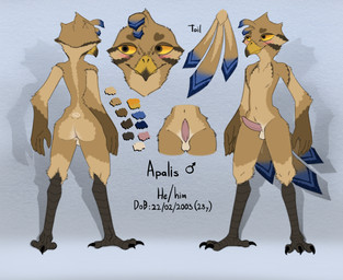 anthro anus avian_feet balls barely_visible_anus beak blush brown_body facial_markings feather_hair feathers genitals head_markings male markings navel nude pseudo_hair simple_background solo standing tail tail_feathers yellow_eyes zerohours apalis_(zerohours) avian bird falcon falconid kestrel flat_colors hi_res model_sheet