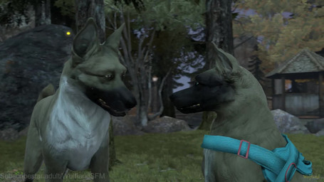 anatomically_correct animal_genitalia animal_penis ass_to_ass ball balls bite blue_eyes blue_harness bodily_fluids bouncing_balls brown_eyes building canine_genitalia canine_penis close-up cum cum_in_vagina cum_inside dismounting doggystyle duo face_lick father_penetrating_daughter female female_penetrated feral feral_on_feral feral_penetrated feral_penetrating feral_penetrating_feral from_behind_position fur furniture gazebo genital_fluids genitals grass harness house inside licking looking_at_another looking_pleasured male male/female male_penetrating male_penetrating_female mating_grip mounting multicolored_body multicolored_fur neck_bite night open_mouth outside painting_(object) penetration penile penile_penetration penis penis_in_vagina plant quadruped realistic_feral sex sheath tail tail_motion tailwag teeth thigh_sex tongue vaginal vaginal_penetration vulva walking wolfland subscribestar leila_(wolfland) timber_(wolfland) willow_(wolfland) arthropod beetle canid canine canis domestic_dog elateroid firefly german_shepherd herding_dog hunting_dog insect mammal pastoral_dog 16:9 2026 3d_(artwork) 3d_animation animated digital_media_(artwork) hi_res high_framerate huge_filesize long_playtime no_sound preview source_filmmaker_(artwork) video watermark widescreen daughter_(lore) father_(lore) father_and_child_(lore) father_and_daughter_(lore) grandchild_(lore) granddaughter_(lore) grandfather_(lore) grandfather_and_grandchild_(lore) grandfather_and_granddaughter_(lore) grandparent_(lore) grandparent_and_grandchild_(lore) inbred_(lore) incest_(lore) multigenerational_incest_(lore) parent_(lore) parent_and_child_(lore) parent_and_daughter_(lore)