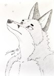 anthro looking_up male night outside shirtless shirtless_male simple_background sky solo standing star white_background some_(someone) lynn_(some) canid canine fox mammal absurd_res graphite_(artwork) hi_res pencil_(artwork) traditional_media_(artwork)