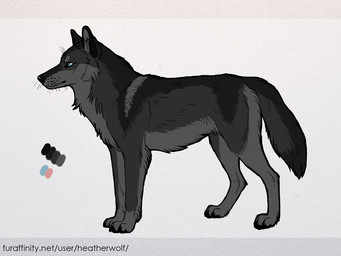 ambiguous_feral ambiguous_gender black_body black_ears black_fur black_nose black_tail blue_eyes color_swatch feral fur grey_body grey_fur grey_inner_ear grey_inner_ear_fluff grey_tail inner_ear_fluff mouth_closed side_view simple_background solo tail text tuft whiskers white_background heatherwolf canid canine canis mammal wolf 4:3 model_sheet url