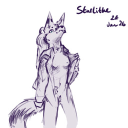 anthro blep blush bottomless breasts clothed clothing female fur genitals grey_body grey_fur hair jacket jacket_only looking_at_viewer looking_down looking_down_at_viewer presenting presenting_body presenting_breasts solo tied_hair tongue tongue_out topwear topwear_only undressing vulva starlithe stella_starlight_(starlithe) canid canine fox mammal 1:1 sketch