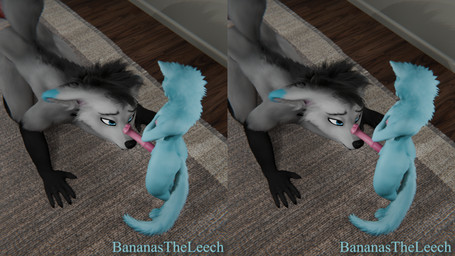 all_fours animal_genitalia animal_penis anthro balls blue_body blue_ear_tips blue_fur body_worship crossed_arms dipstick_ears dipstick_tail dominant duo ear_markings equine_genitalia equine_penis flared_penis fur genital_worship genitals gloves_(marking) gynomorph intersex intersex/intersex larger_sub leg_markings looking_at_another looking_pleasured maleherm markings multicolored_ears open_mouth penile penis penis_on_face penis_worship pink_penis size_difference socks_(marking) submissive sumbissive_male tail tail_markings bananastheleech maxnoward_(modeler) ruaidri_(modeler) gin_trio kraft_trio canid canine felid feline mammal maned_wolf 16:9 3d_(artwork) cross_eye_stereogram digital_media_(artwork) hi_res side_by_side_stereogram stereogram widescreen