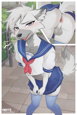 2_panel_comic 5_fingers anthro anus backsack balls black_nose blue_bottomwear blue_clothing blue_legwear blue_skirt blue_thigh_highs blush blush_lines border bottomwear butt clothed clothing cropped_topwear crossdressing crossdressing_male detailed_background dipstick_tail eyebrows femboy fingers fur genitals grey_body grey_eyebrows grey_eyes grey_fur grey_inner_ear_fluff hair inner_ear_fluff legwear looking_at_viewer male markings midriff miniskirt multiple_angles no_underwear open_mouth outside plant school_uniform shaking shrub skirt solo standing tail tail_markings text thigh_highs tremble_lines trembling tuft uniform white_border white_text moito pyro_wolfie canid canine canis mammal wolf 2025 artist_name hi_res url