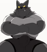 abs anthro barazoku big_muscles black_body black_clothing black_fur black_hoodie black_nose black_topwear black_underwear blush brown_body brown_countershading brown_fur bulge chest_tattoo clothed clothing clothing_lift countershading fur grey_body grey_countershading hoodie looking_at_viewer male muscular muscular_male navel nipple_piercing nipples pecs piercing pubes sharp_teeth shirt shirt_lift smile solo tattoo teeth topwear underwear undressing white_body white_countershading yellow_clothing yellow_sclera yellow_underwear hyaku_(artist) doberman_bouncer_(hyaku) ape canid canine canis dobermann domestic_dog gorilla haplorhine mammal pinscher primate wolf animated no_sound short_playtime webm